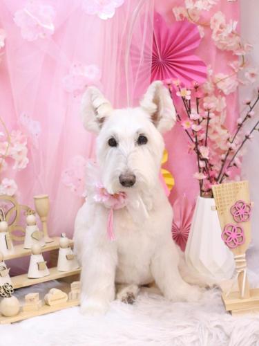 20250330ムーミンくん